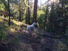 photo thumbnail #3