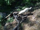 photo thumbnail #13