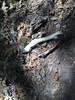photo thumbnail #14