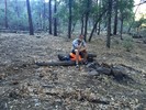 photo thumbnail #6