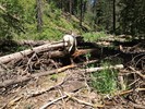 photo thumbnail #5