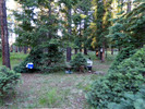 photo thumbnail #3