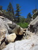 photo thumbnail #9