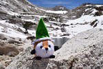 photo thumbnail #15