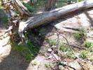 photo thumbnail #15