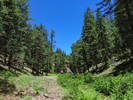photo thumbnail #2
