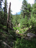 photo thumbnail #8