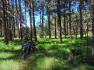 photo thumbnail #10