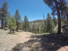 photo thumbnail #1