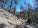 photo thumbnail #10