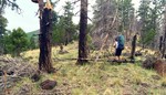 photo thumbnail #12