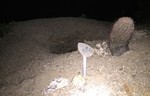 photo thumbnail #8