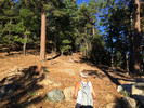 photo thumbnail #6