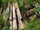 photo thumbnail #2