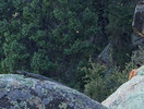 photo thumbnail #11
