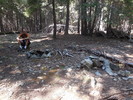 photo thumbnail #2