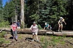 photo thumbnail #2