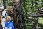 photo thumbnail #7