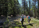 photo thumbnail #9