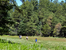 photo thumbnail #14