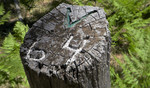 photo thumbnail #15