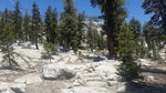 photo thumbnail #10