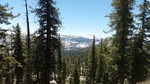 photo thumbnail #15