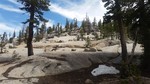 photo thumbnail #8