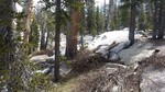 photo thumbnail #10