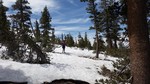 photo thumbnail #12