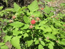 photo thumbnail #3