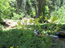 photo thumbnail #5