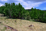 photo thumbnail #3