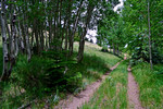 photo thumbnail #5