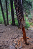 photo thumbnail #13