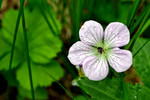 photo thumbnail #14