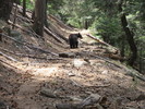 photo thumbnail #1