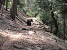 photo thumbnail #2