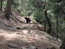 photo thumbnail #3