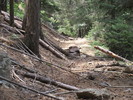 photo thumbnail #4