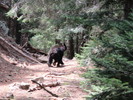 photo thumbnail #5
