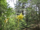 photo thumbnail #11