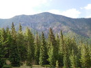 photo thumbnail #11