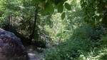 photo thumbnail #12