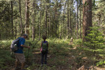 photo thumbnail #5
