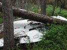 photo thumbnail #3