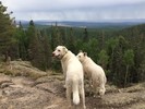 photo thumbnail #10