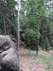 photo thumbnail #13