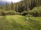 photo thumbnail #4
