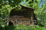 photo thumbnail #9
